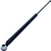 Maxgear | Gasfeder, Koffer-/Laderaum | 12-0255 Maxgear | Gasfeder, Koffer-/Laderaum | 12-0255