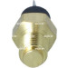 727045 Sensor, Kühlmitteltemperatur