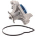 SKF | Wasserpumpe | VKPC 83812 SKF | Wasserpumpe | VKPC 83812