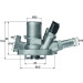 TI 151 80 Thermostat, Kühlmittel BEHR