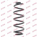 RA6102 Fahrwerksfeder K-Flex