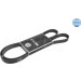 Meyle Keilrippenriemen MEYLE-ORIGINAL: True to OE 050 006 1690