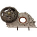 Maxgear | Ölpumpe | 42-0031 Maxgear | Ölpumpe | 42-0031