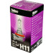 Valeo | Glühlampe, Abbiegescheinwerfer | 032525 Valeo | Glühlampe, Abbiegescheinwerfer | 032525