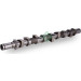INA | Nockenwelle | 428 0198 10 INA | Nockenwelle | 428 0198 10