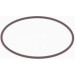 BOSCH | Dichtring | F 01M 100 371 BOSCH | Dichtring | F 01M 100 371