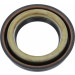 19037089B Wellendichtring, Differential