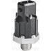 Valeo | Klopfsensor | 255400