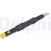 Delphi | Einspritzventil | R00501Z