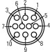 Hella | Heckleuchte | 2VP 008 204-181
