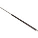 Maxgear | Gasfeder, Heckscheibe | 12-1616 Maxgear | Gasfeder, Heckscheibe | 12-1616