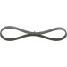 1 987 946 010 Keilrippenriemen