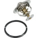 NRF | Thermostat, Kühlmittel | 725176