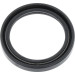 Corteco | Dichtring | 15000042B Corteco | Dichtring | 15000042B