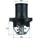 Mahle | Thermostat, Kühlmittel | TI 47 89