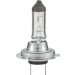 Hella | Glühlampe | 8GH 007 157-121 Hella | Glühlampe | 8GH 007 157-121