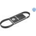 Meyle Keilrippenriemen MEYLE-ORIGINAL: True to OE 050 006 0831/E