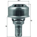 Mahle | Thermostat, Kühlmittel | TX 174 86 Mahle | Thermostat, Kühlmittel | TX 174 86