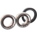 SKF | Radlagersatz | VKBA 1333