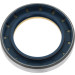 Corteco | Dichtring | 12012503B
