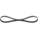 BOSCH Keilrippenriemen Elastic 1 987 946 125