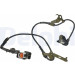 Delphi | Sensor, Raddrehzahl | SS20263 Delphi | Sensor, Raddrehzahl | SS20263