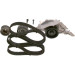 BOSCH | Wasserpumpe + Zahnriemensatz | 1 987 948 862 BOSCH | Wasserpumpe + Zahnriemensatz | 1 987 948 862