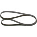 BOSCH | Keilrippenriemen | 1 987 946 295 BOSCH | Keilrippenriemen | 1 987 946 295