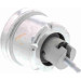Vaico | Lagerung, Motor | V40-0357