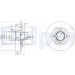 Delphi | Bremsscheibe | BG3360 Delphi | Bremsscheibe | BG3360