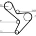 CT1034 Zahnriemen CT1034 Zahnriemen