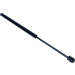 Maxgear | Gasfeder, Koffer-/Laderaum | 12-0191