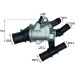 Mahle | Thermostat, Kühlmittel | TI 162 88