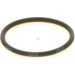 BOSCH | Dichtring | 1 410 257 029 BOSCH | Dichtring | 1 410 257 029