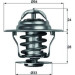 Mahle | Thermostat, Kühlmittel | TX 11 87D Mahle | Thermostat, Kühlmittel | TX 11 87D