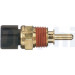 Delphi | Sensor, Kühlmitteltemperatur | TS10326