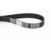 ContiTech | Zahnriemen | CT929