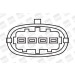 BorgWarner (BERU) | Zündspule | ZS306 BorgWarner (BERU) | Zündspule | ZS306