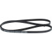 1 987 946 068 Keilrippenriemen