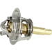 725282 Thermostat, Kühlmittel EASY FIT