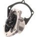 SKF | Wasserpumpe | VKPC 85304