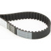 CT1131 Zahnriemen