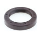 Corteco | Dichtring | 12001831B Corteco | Dichtring | 12001831B