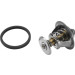 Wahler | Thermostat, Kühlmittel | 4821.89D