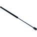 Maxgear | Gasfeder, Koffer-/Laderaum | 12-0082 Maxgear | Gasfeder, Koffer-/Laderaum | 12-0082