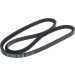 1 987 947 662 Keilrippenriemen
