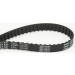 ContiTech | Zahnriemen | CT637 ContiTech | Zahnriemen | CT637