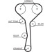 Gates | Zahnriemensatz | K015507XS Gates | Zahnriemensatz | K015507XS