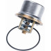 Wahler | Thermostat, Kühlmittel | 4621.80D