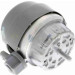 Vaico | Lagerung, Motor | V10-3296 Vaico | Lagerung, Motor | V10-3296